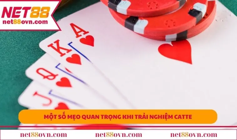 Một số mẹo quan trọng khi trải nghiệm Catte