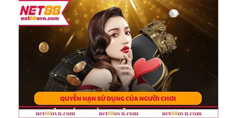 Quyền hạn sử dụng của người chơi